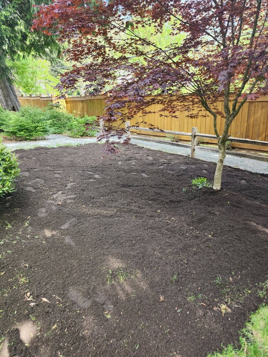 Project 5 — after