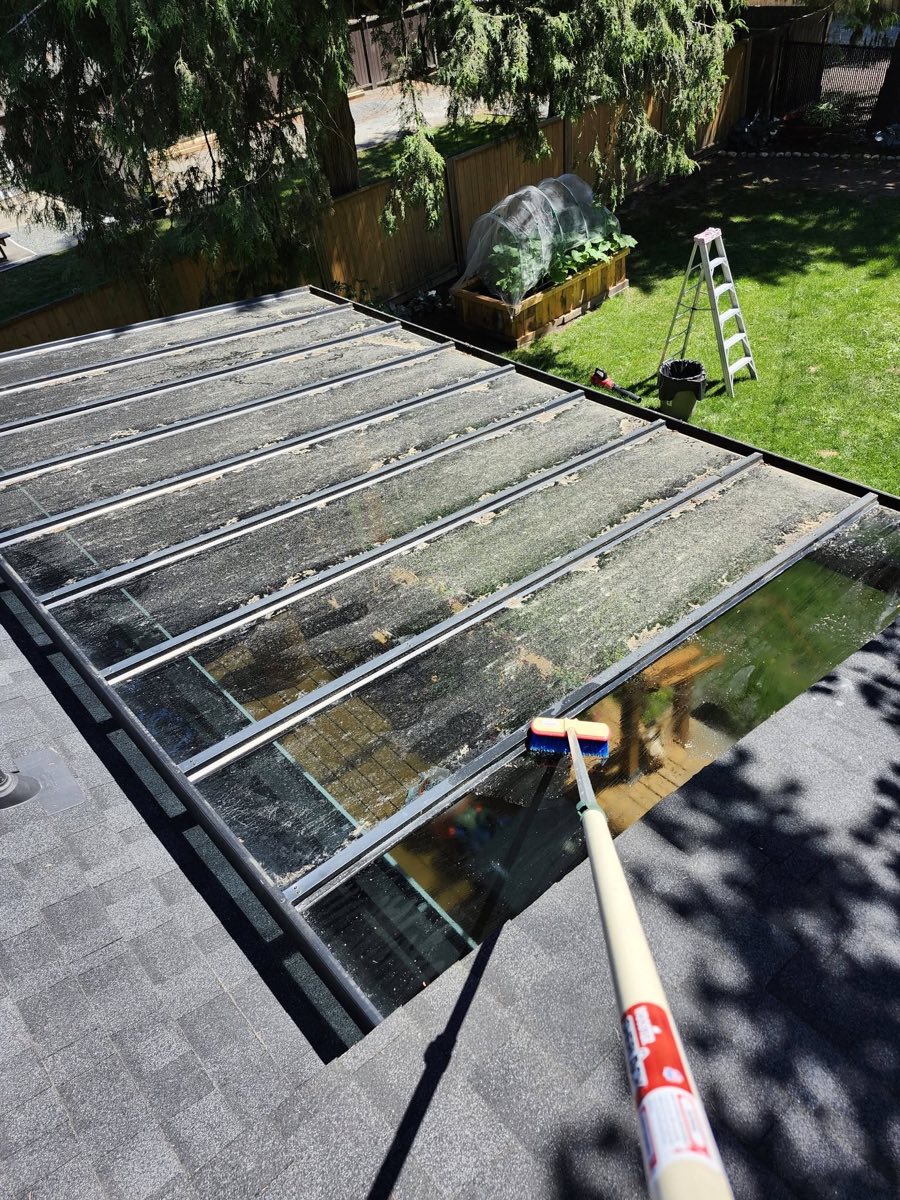 Project 12 — before