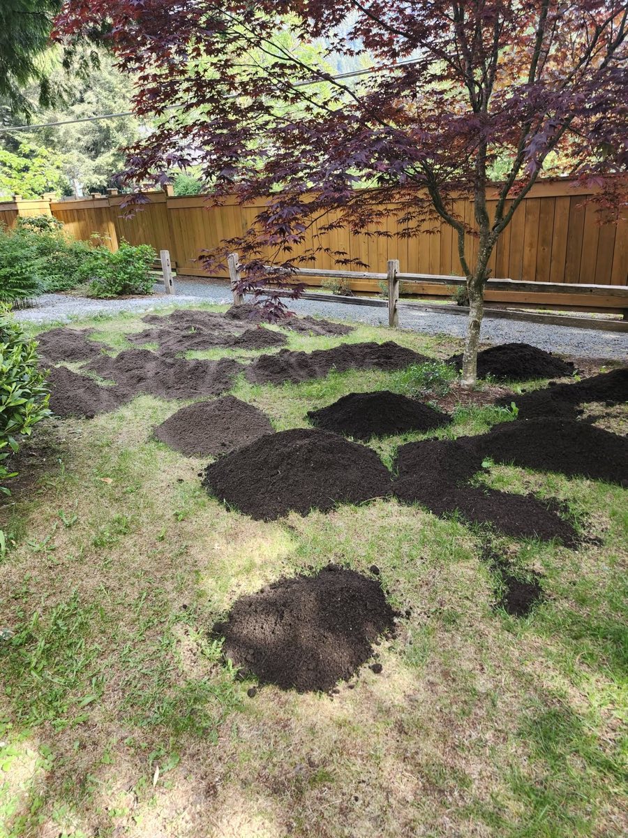 Project 5 — before