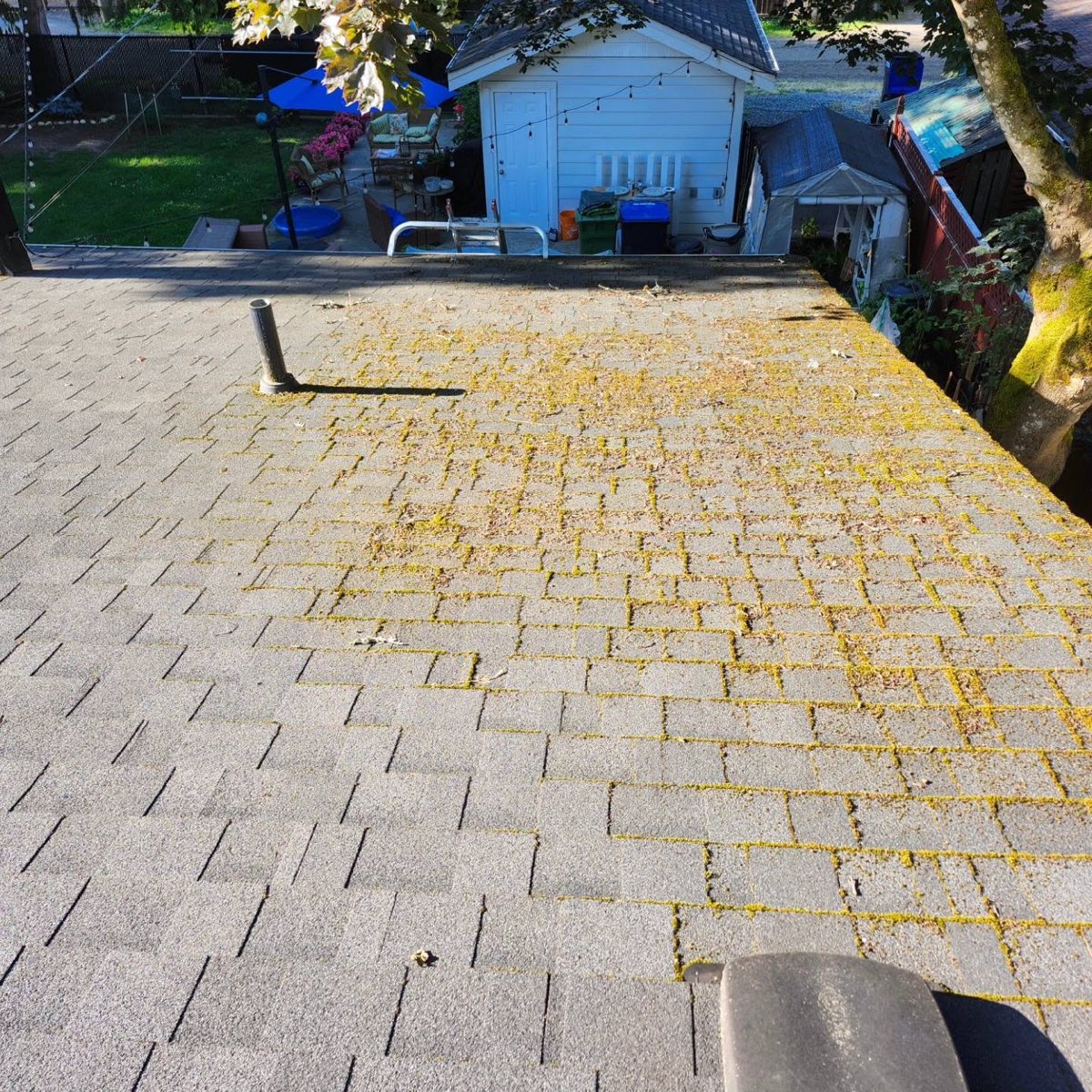 Project 7 — before